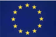 EU logo